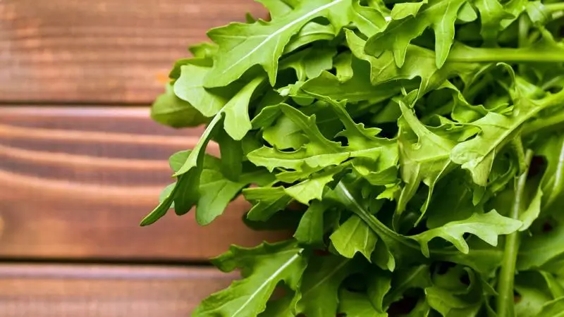 Rocket Leaves: A Miracle In Your Salads
